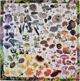 Mushroom Rainbow 1000 Piece Puzzle