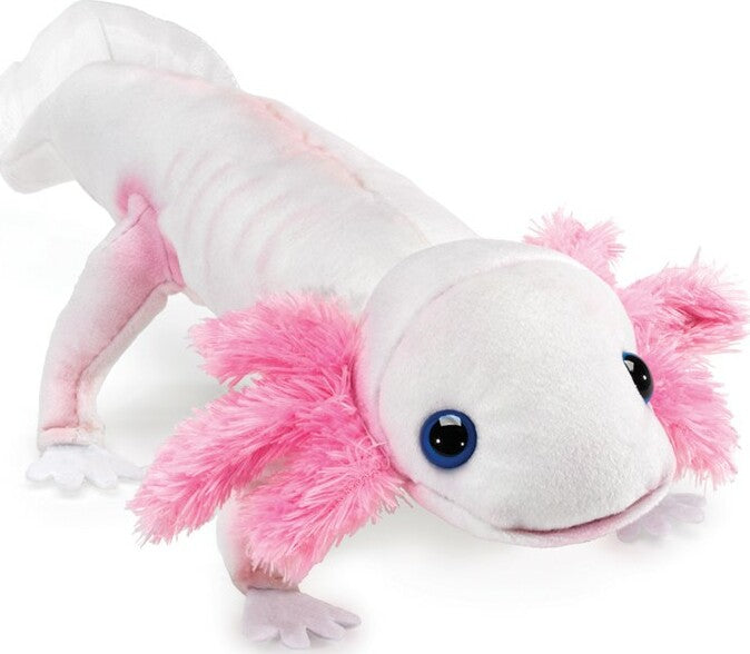 Axolotl