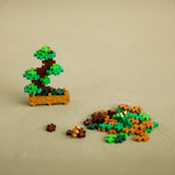 Plant Pack - Balanced Bonsai