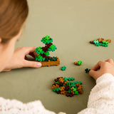 Plant Pack - Balanced Bonsai