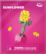 Plant Pack - Sociable Sunflower