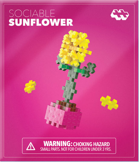Plant Pack - Sociable Sunflower