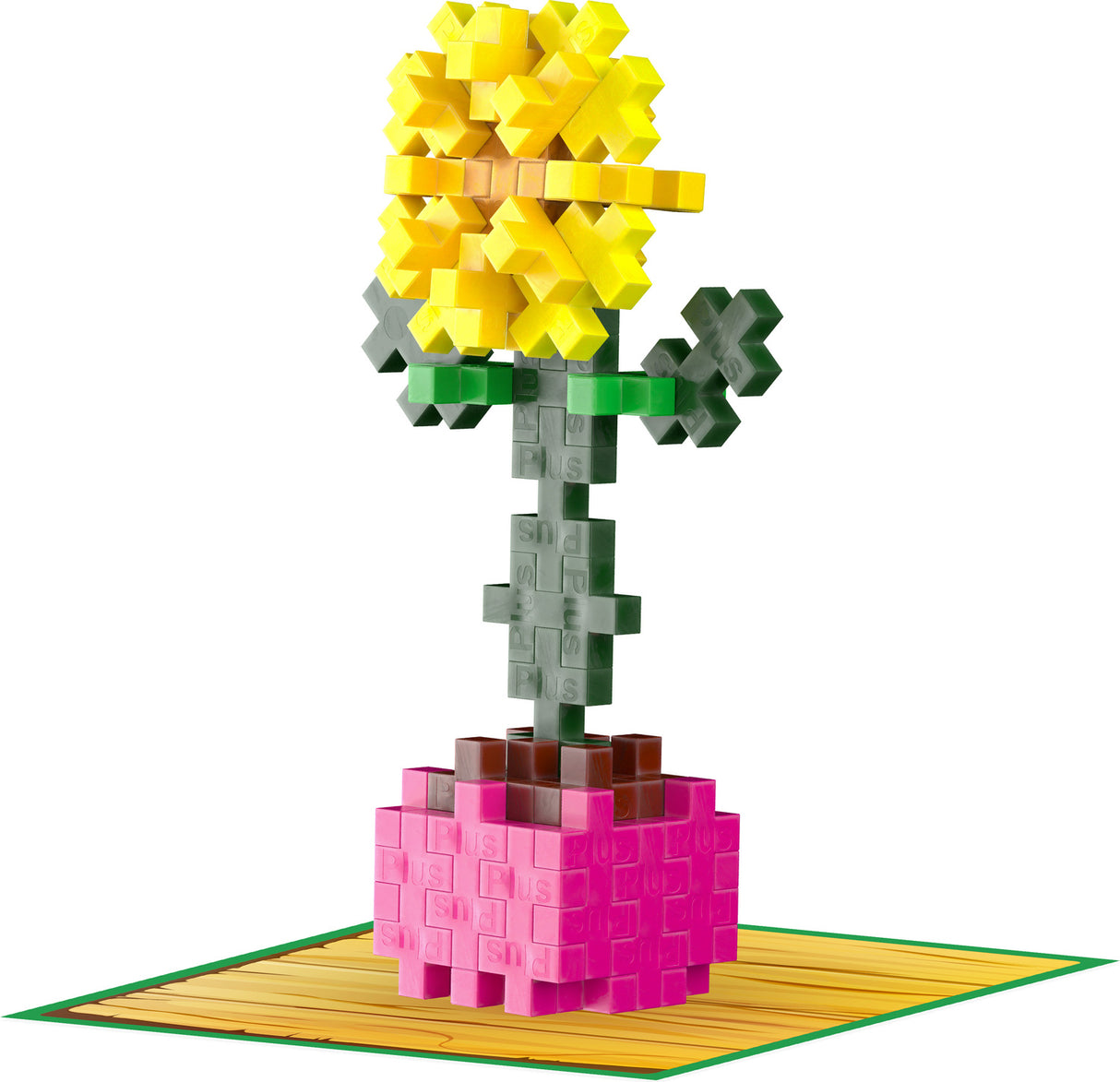 Plant Pack - Sociable Sunflower