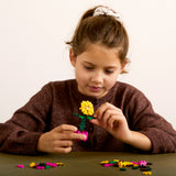 Plant Pack - Sociable Sunflower