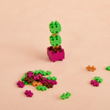 Plant Pack - Tasteful Topiary