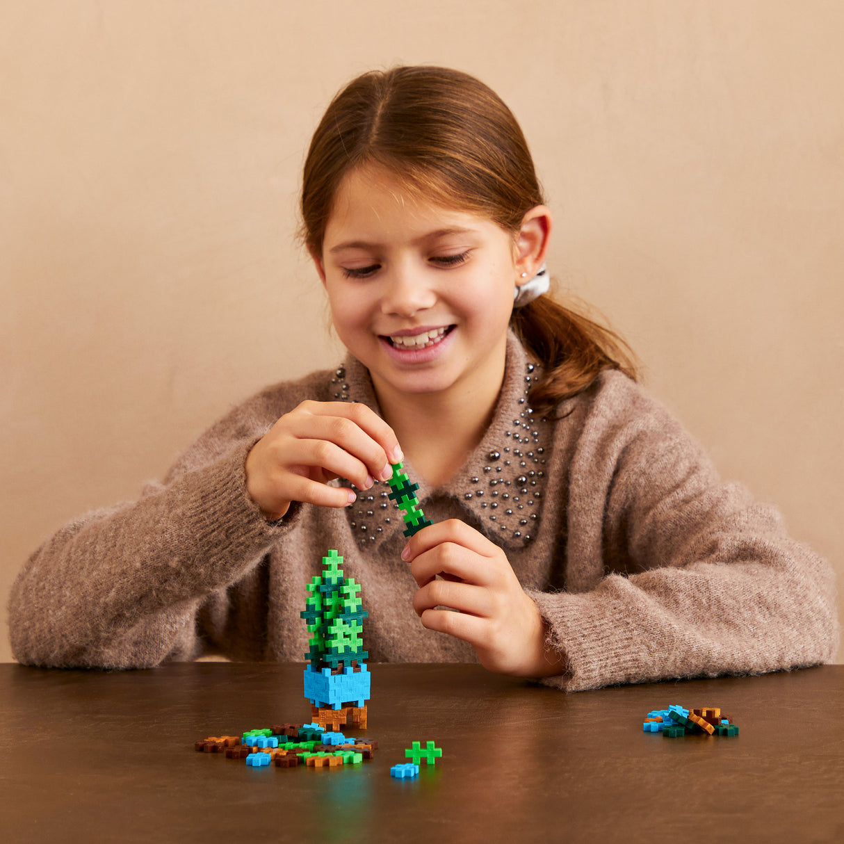 Plant Pack - Sassy Snake Plant