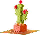 Plant Pack - Calm Cactus