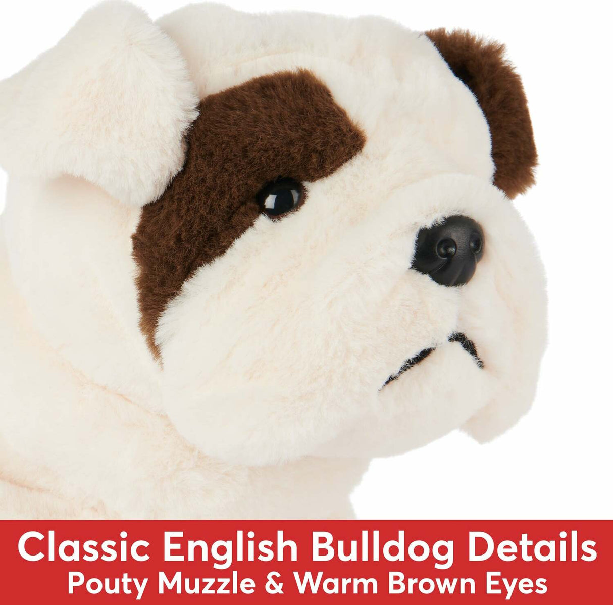 Toast Bulldog, 10 In