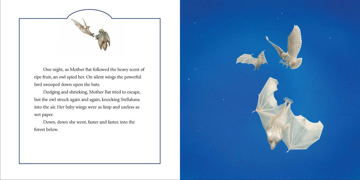 Stellaluna