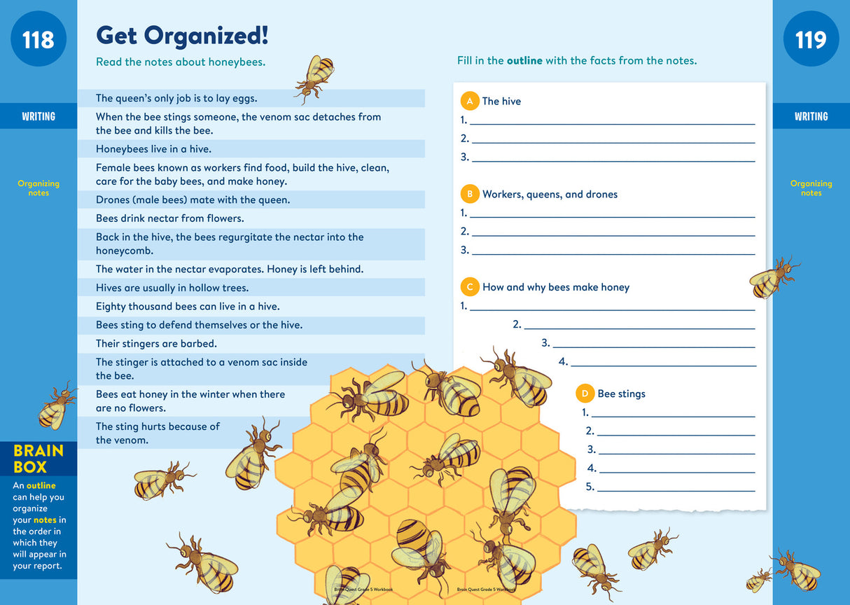 Brain Quest Workbook: 5th Grade Revised Edition