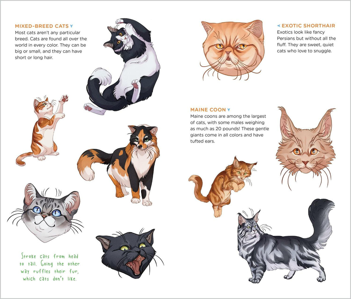 Cute, Cuddly Tattoo Cats & Kittens: 50 Temporary Tattoos That Teach