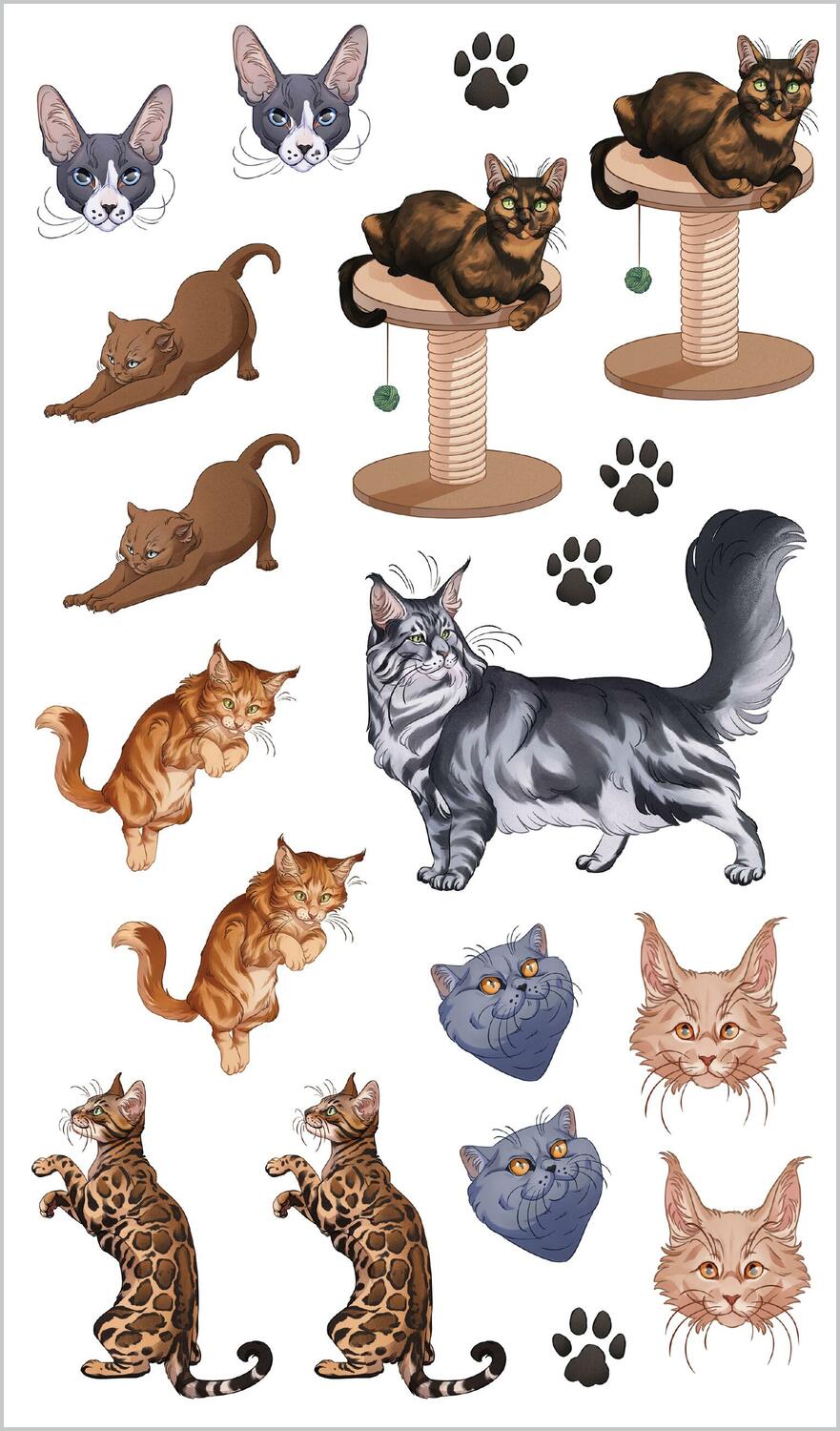 Cute, Cuddly Tattoo Cats & Kittens: 50 Temporary Tattoos That Teach