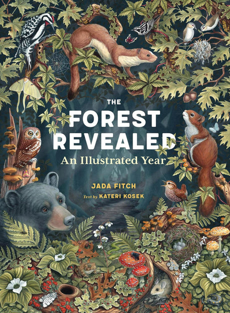 The Forest Revealed: An Illustrated Year