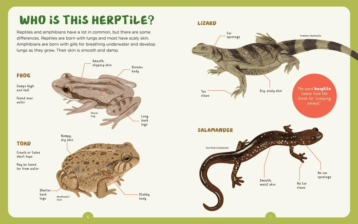 Backpack Explorer: Spotting Snakes and Frogs, and Other Reptiles and Amphibians: What Will You Find?