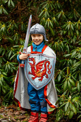 Liontouch Pretend-Play Dress Up Costume Amber Dragon Knight Shield