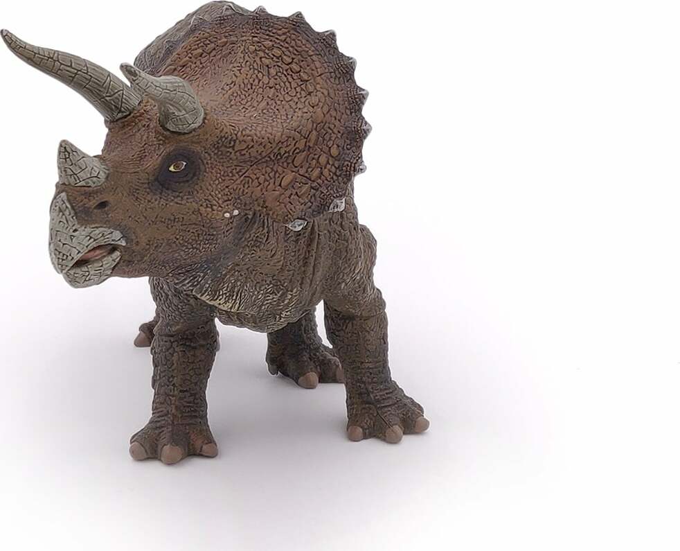 Triceratops