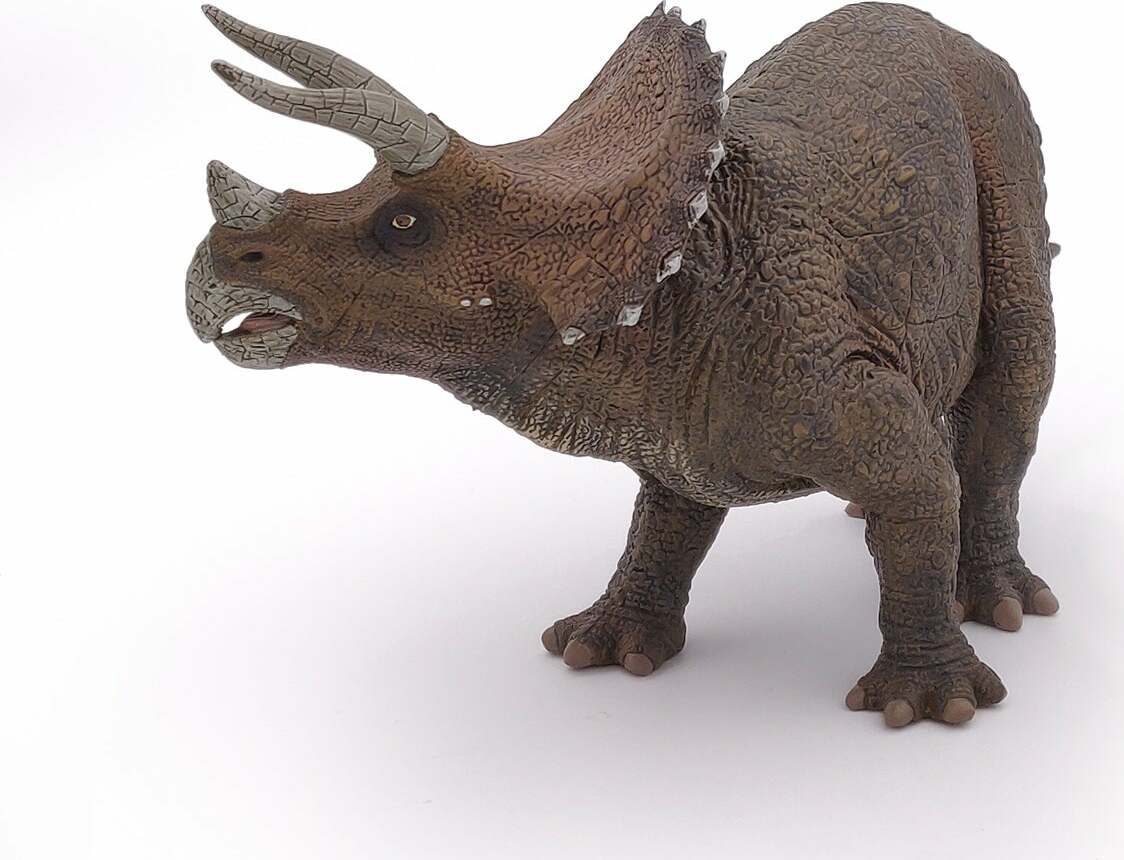 Triceratops