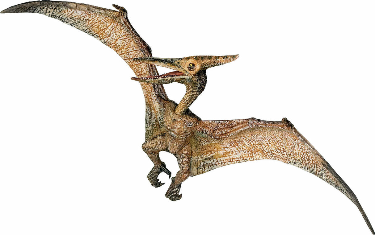 Pteranodon