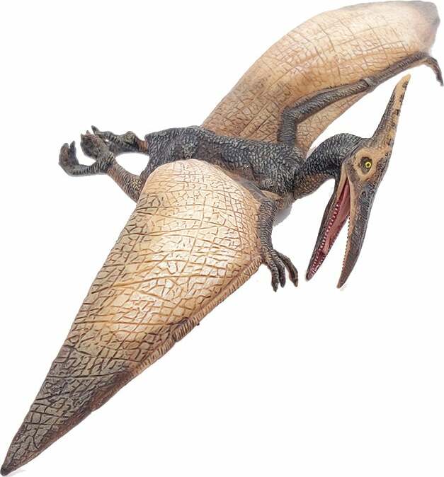 Pteranodon