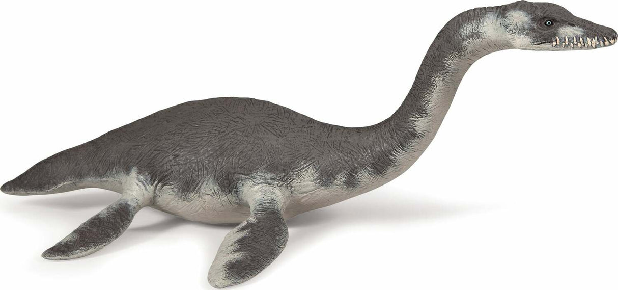 Plesiosaurus