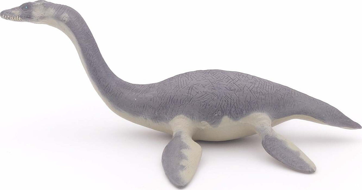 Plesiosaurus