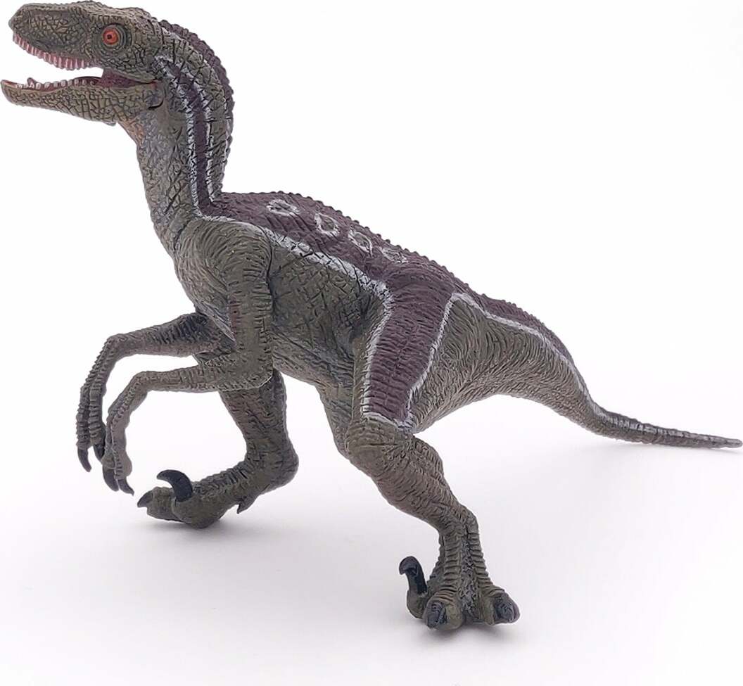 Velociraptor