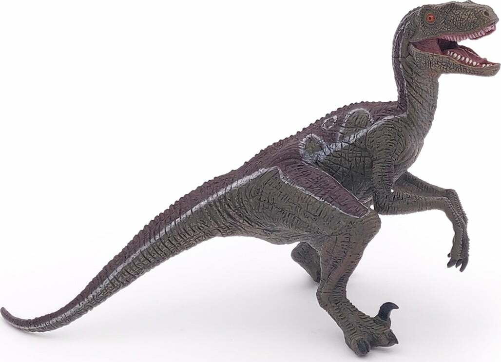 Velociraptor