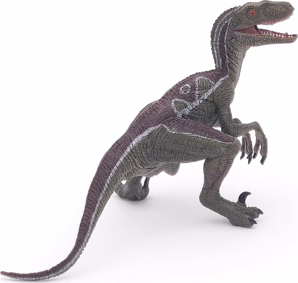 Velociraptor