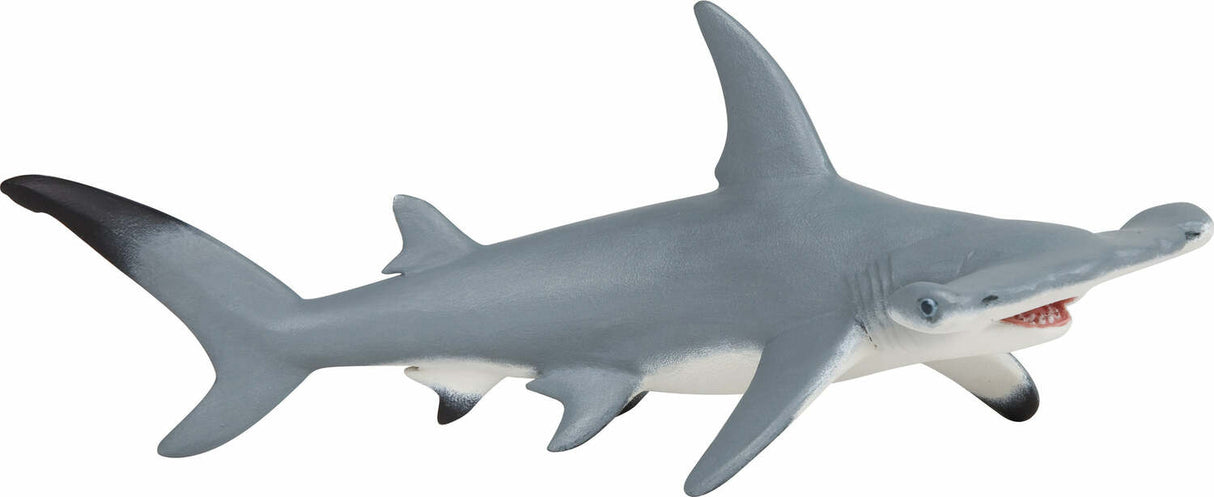 Hammerhead Shark