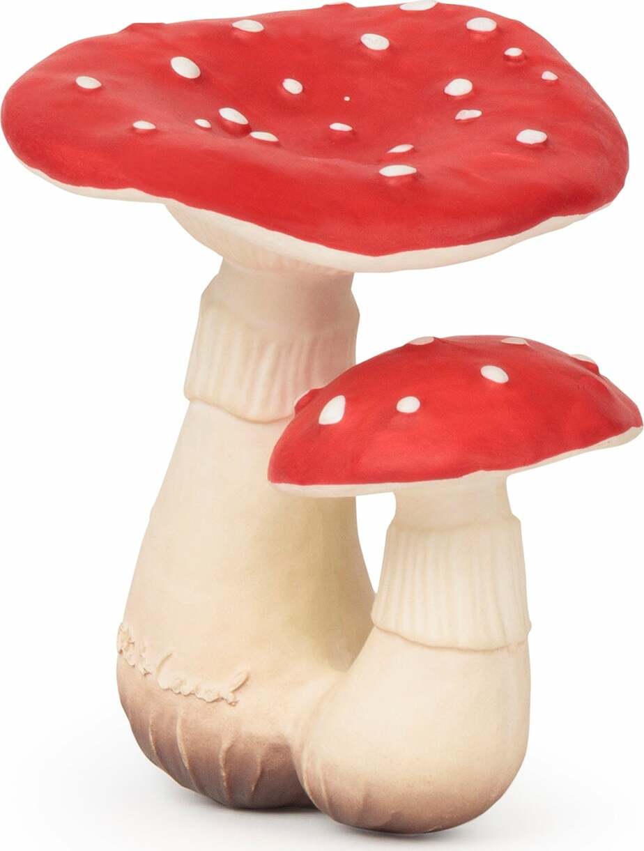 OLI&CAROL Spot the Mushroom