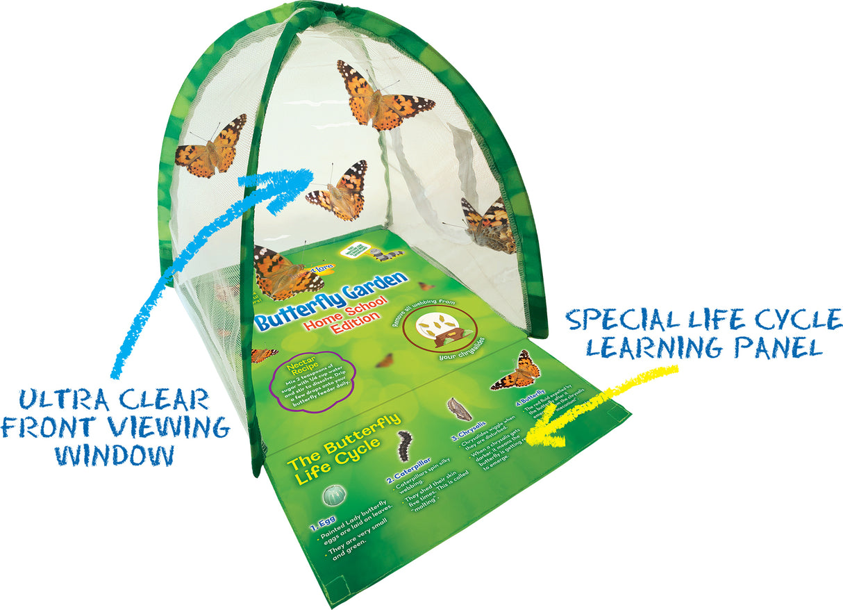 Butterfly Garden Home School Edition