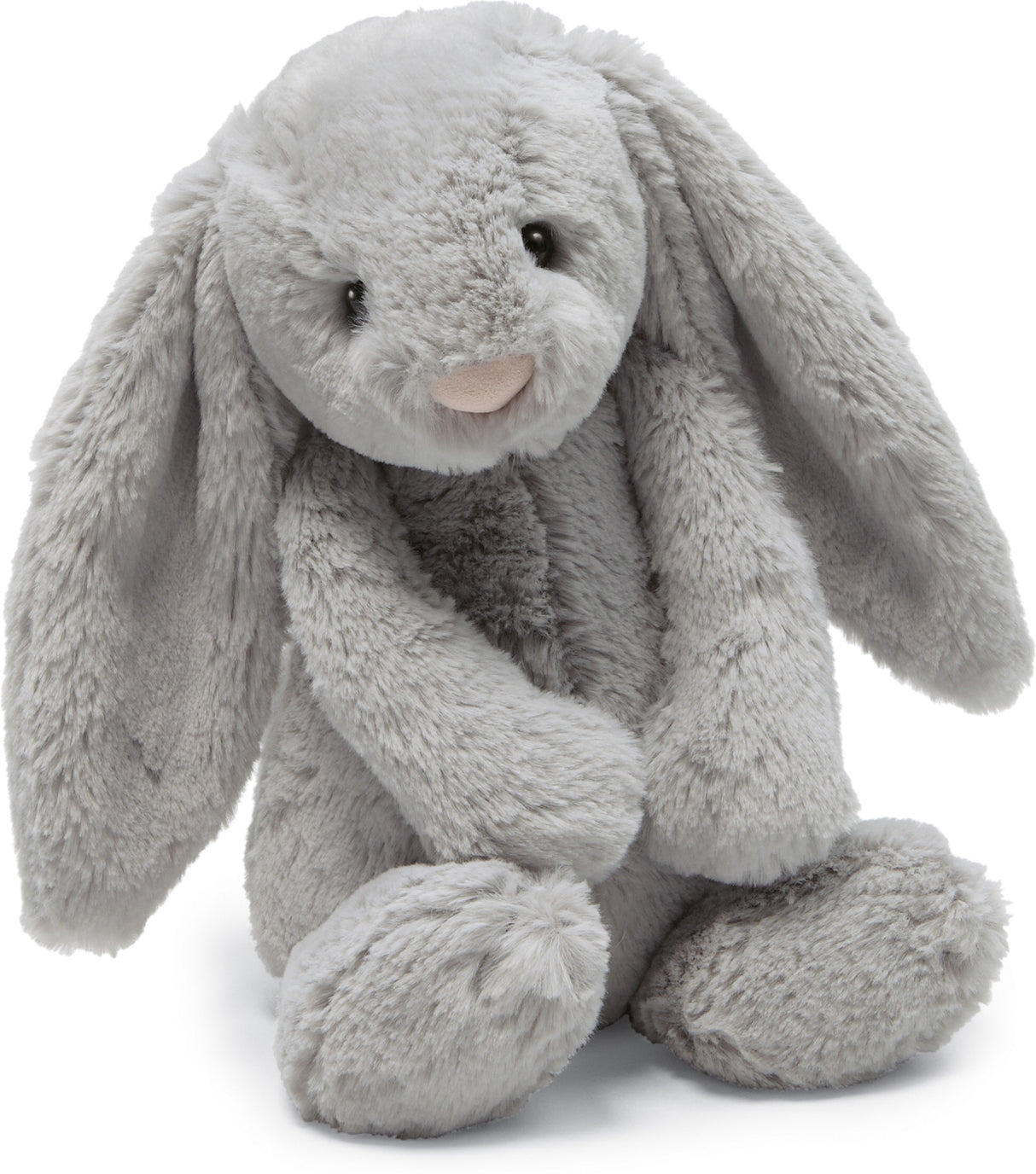 Bashful Grey Bunny