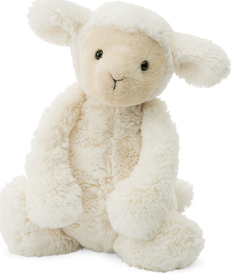 Bashful Lamb