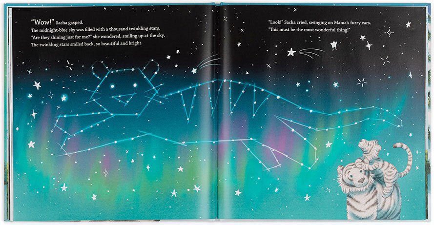 Sacha And The Most Wonderful Thing Book