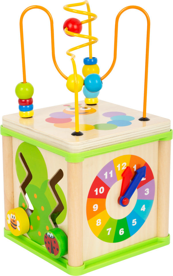 Insect Motor Skills Training Cube