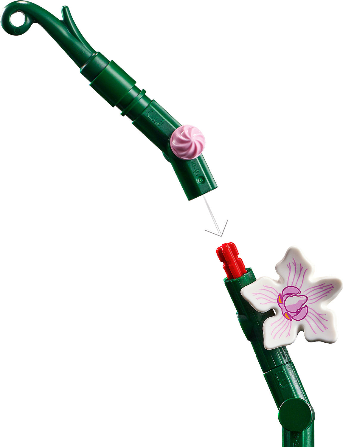 Orchid – Dancing Bear Toys