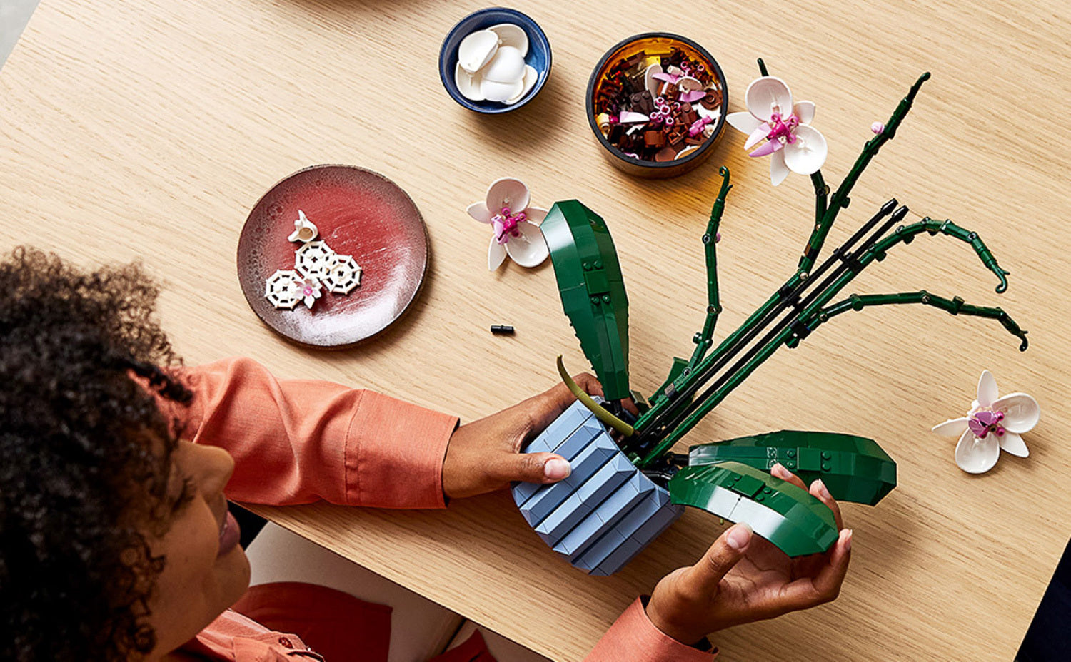 Orchid – Dancing Bear Toys