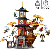 LEGO NINJAGO Temple of the Dragon Energy Cores