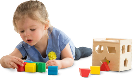 Shape Sorting Cube