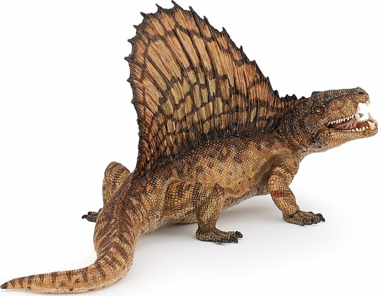 Dimetrodon