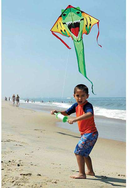 Large Easy Flyer Kite - T-Rex