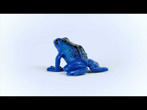 Blue Poison Dart Frog