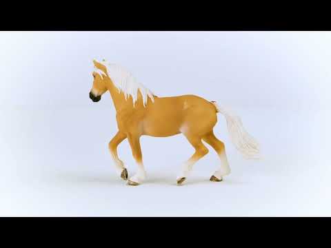 Haflinger Mare