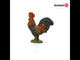 Rooster