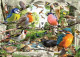 Jigsaw Puzzle Our Feathered Friends 1000p - 1000 Pieces Puzzle