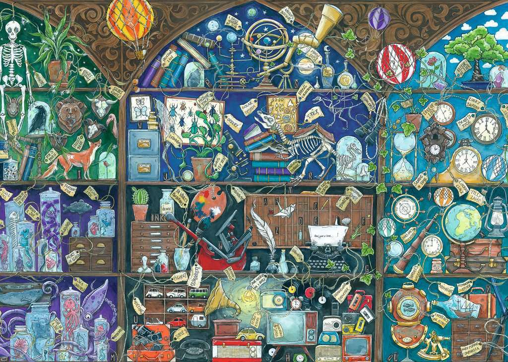 Cabinet of Curiosities (1000 Piece Puzzle)