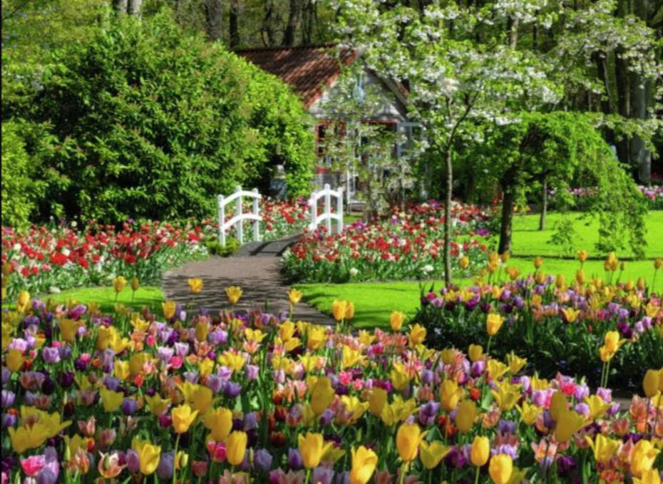 Keukenhof Gardens Netherlands 1000 Piece Puzzle