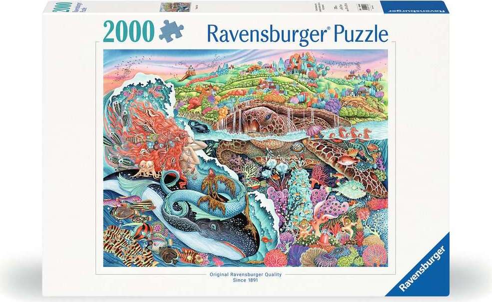 Logische Puzzelspel Voor Kinderen En Volwassenen. Welk Patroon Logische Puzzelspel Voor Kinderen En Volwassenen. Welk Patroon