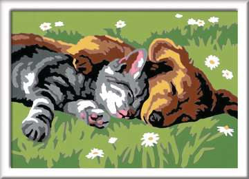 Ravensburger CreArt Sleeping Cats and Dogs Color by Numbers Kit