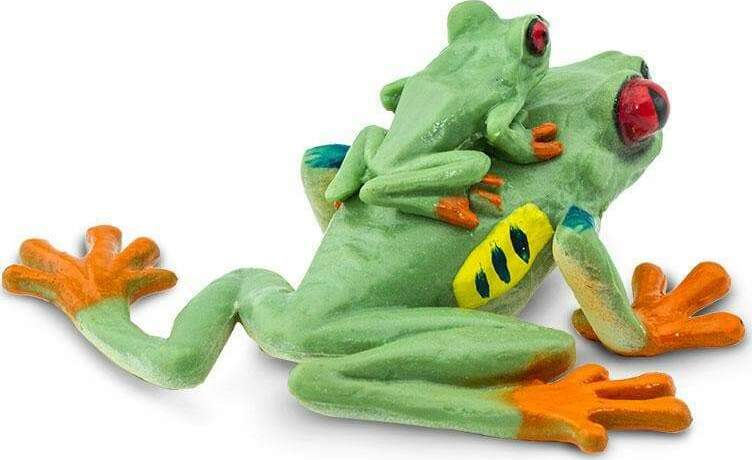 Red-eyed Tree Frog Toy